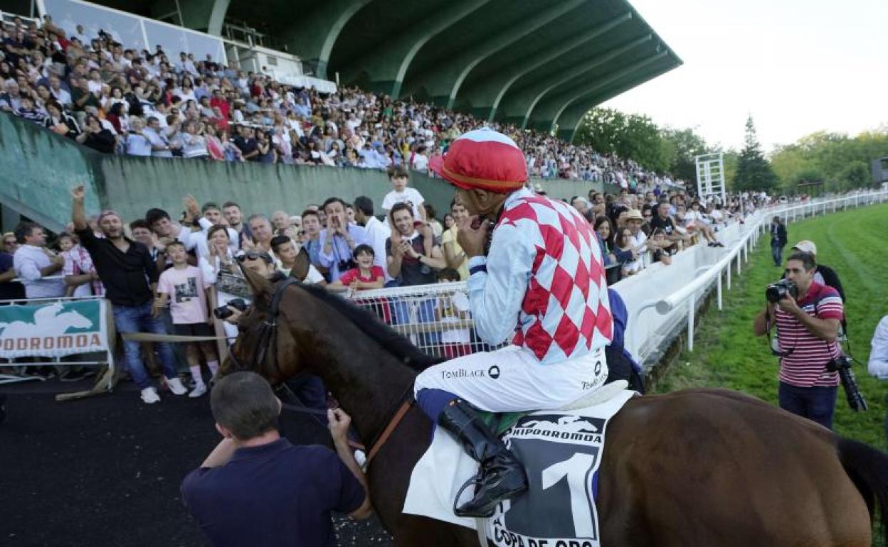 'Amazing Red', ganador de la última edición de la Copa de Oro