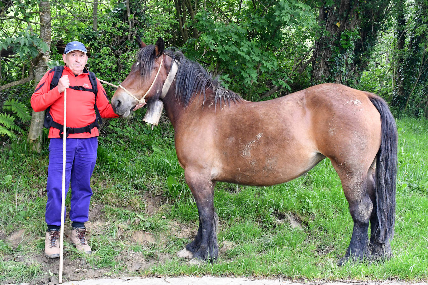 Fotos: Abaltzisketan ere zabaldu dituzte larreak