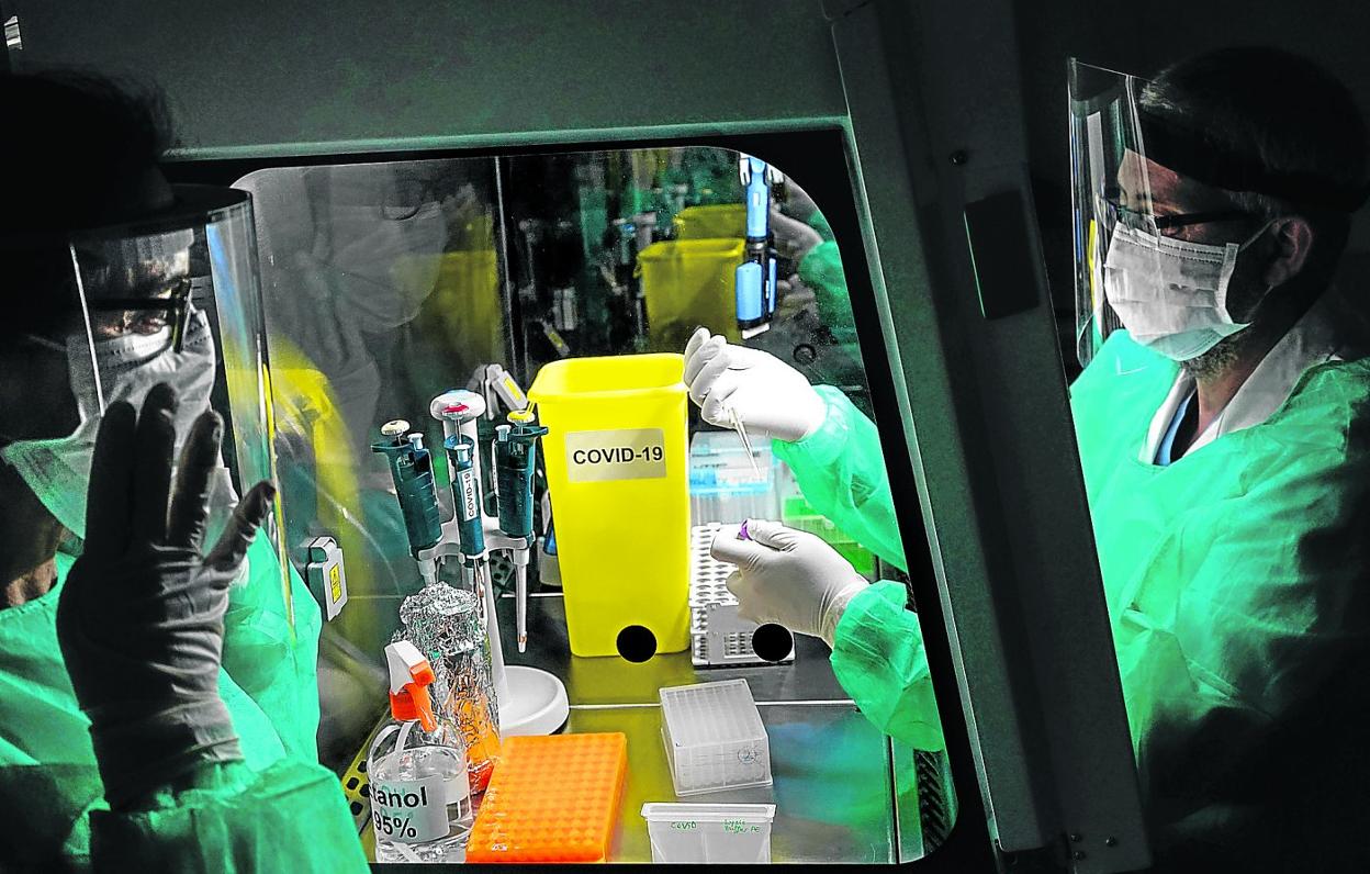 Joaquín Castilla empieza a preparar las muestras en una cabina de flujo laminar ante Ana María Aransay. 