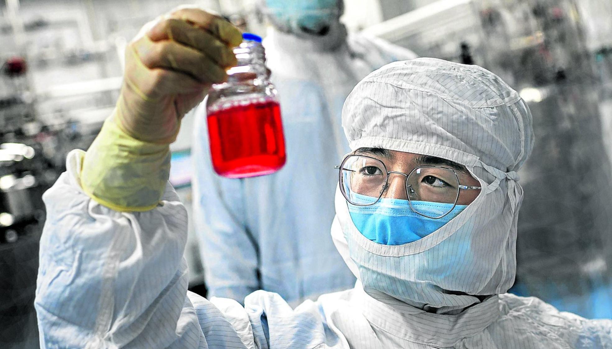 Un investigador examina una muestra de células de mono. 