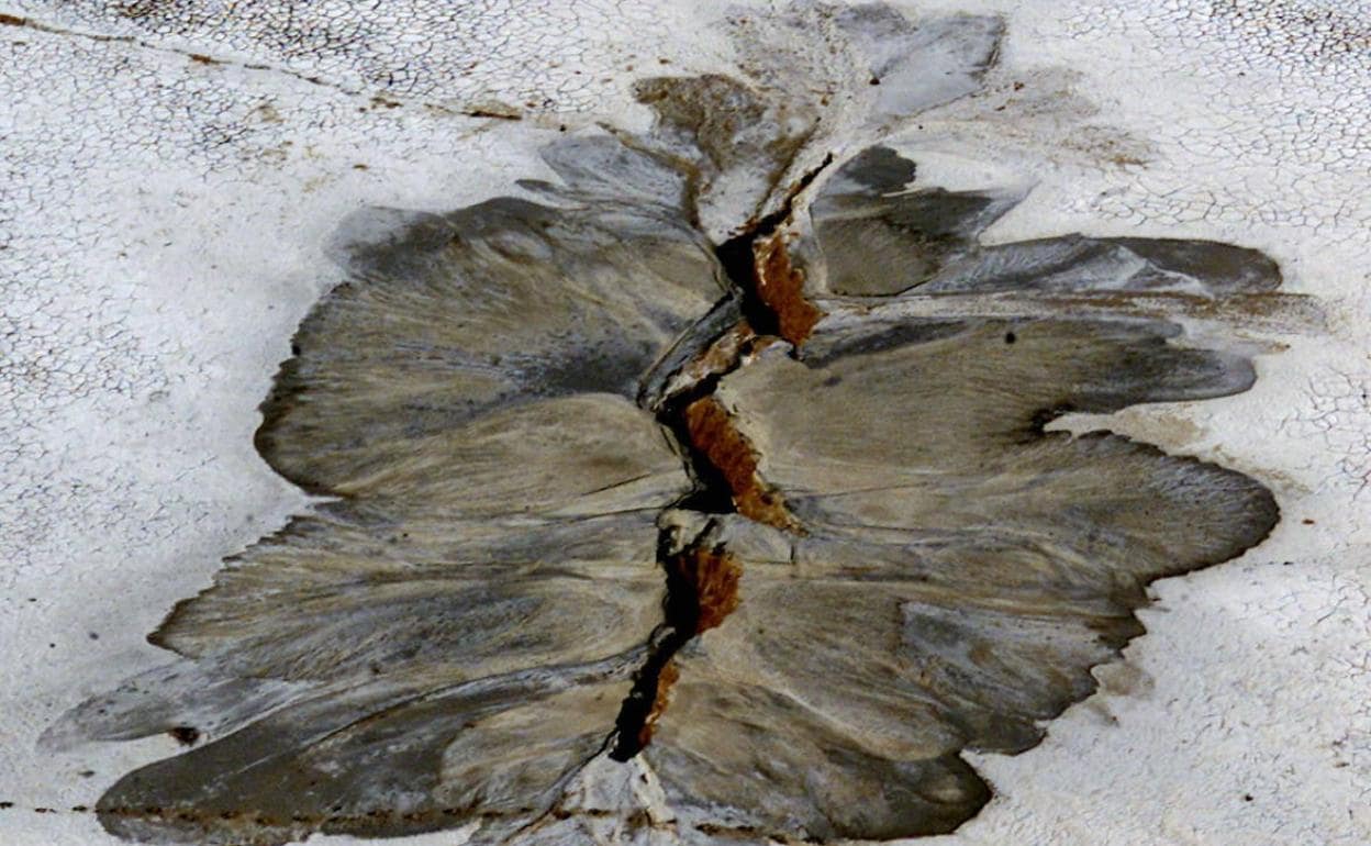 Las placas tectónicas ya formaban la Tierra hace  millones de años |  El Diario Vasco