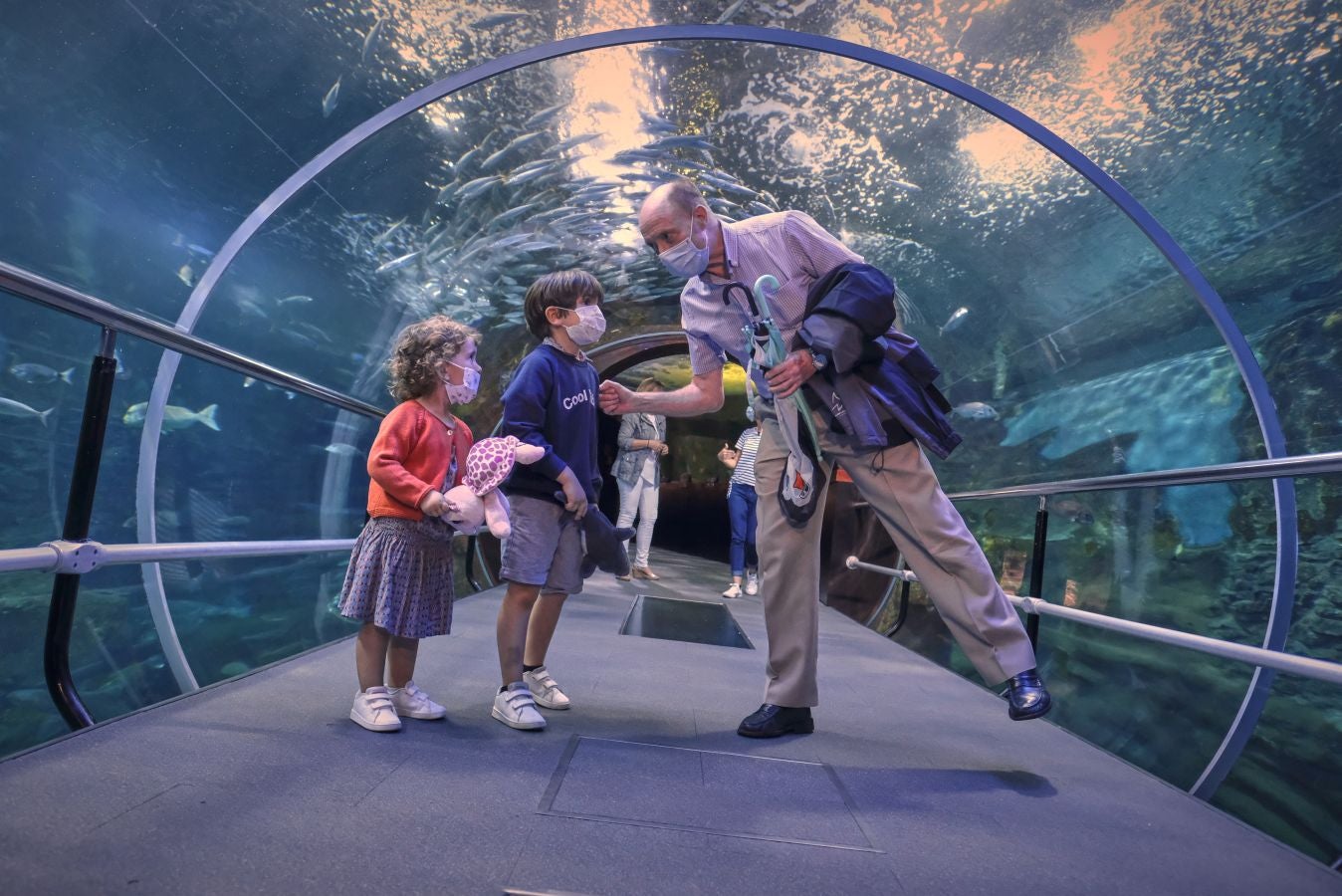 El Aquarium de Donostia ha recibido sus primeras visitas tras el cierre obligado por culpa de la crisis santiaria provocada por el Covid-19. Los hermanos Jon y Malen Lasurtegui junto con el aitona Jesús Ángel han sido los primeros afortunados en recorrer el túnel y ver a los tiburones.
