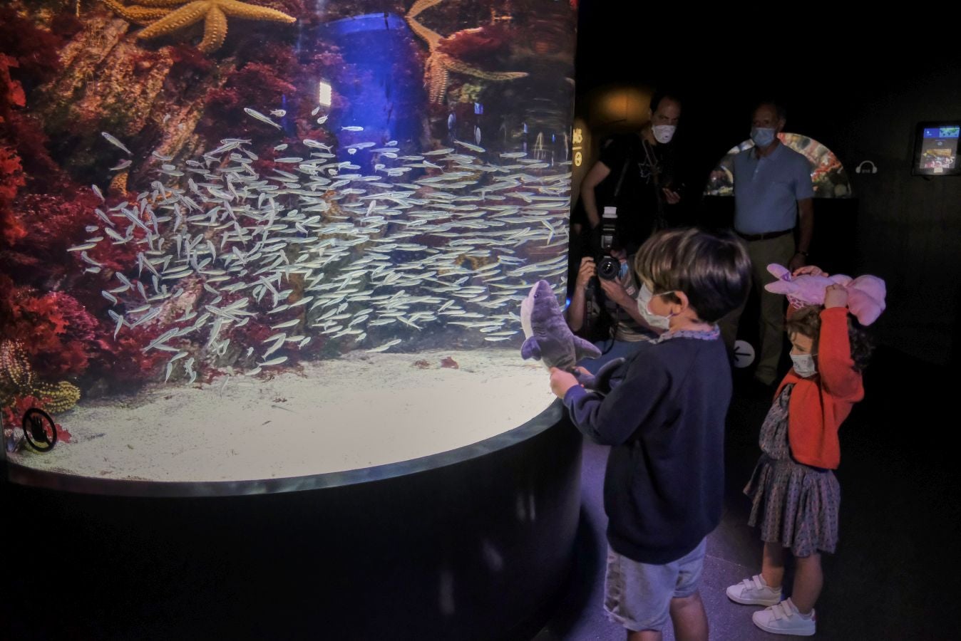 El Aquarium de Donostia ha recibido sus primeras visitas tras el cierre obligado por culpa de la crisis santiaria provocada por el Covid-19. Los hermanos Jon y Malen Lasurtegui junto con el aitona Jesús Ángel han sido los primeros afortunados en recorrer el túnel y ver a los tiburones.