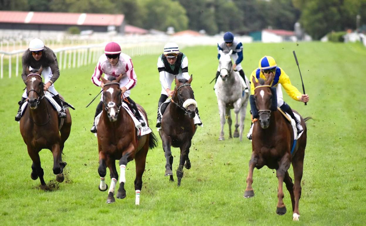 Los caballos y algo más vuelven hoy (11.40) en el hipódromo