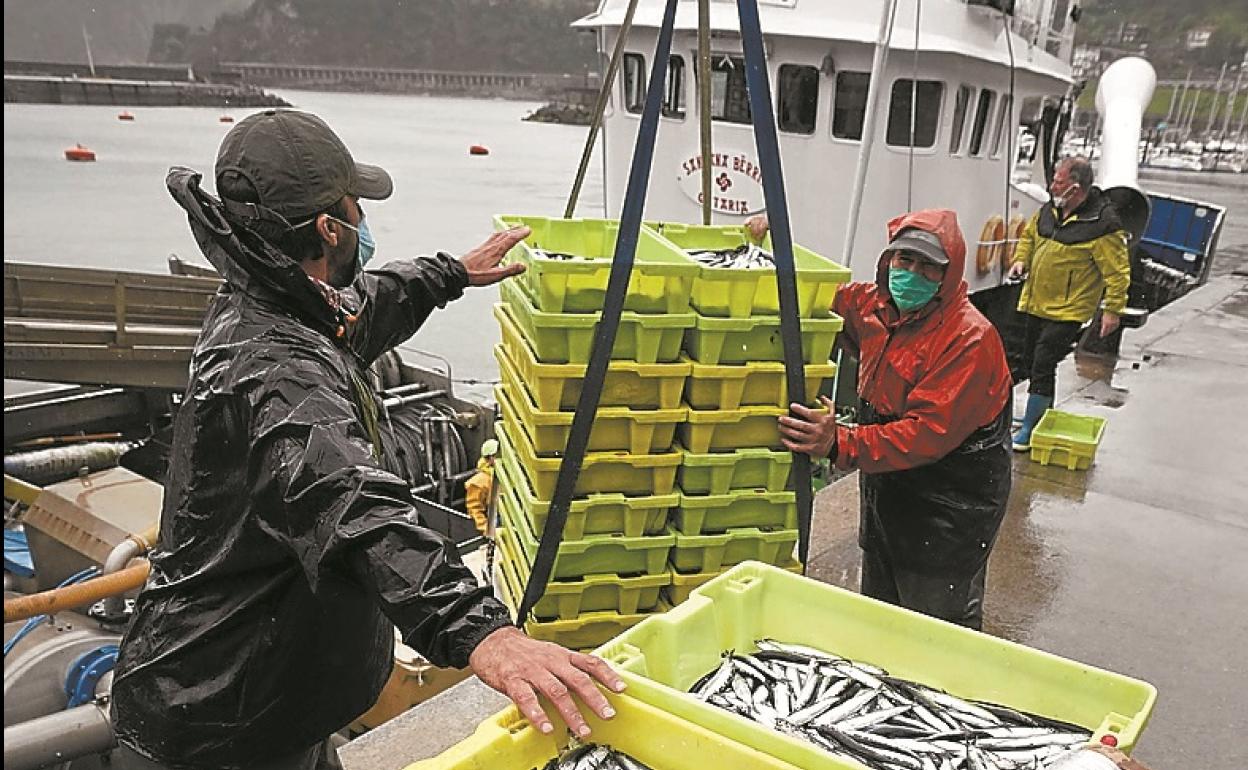 VDescarga, con mascarillas, en el puerto de Getaria.