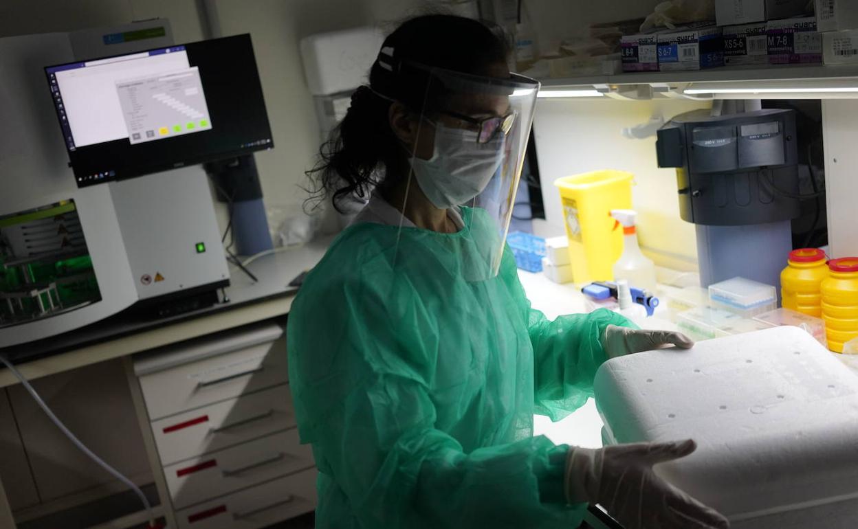 Una sanitaria practica un test PCR. 