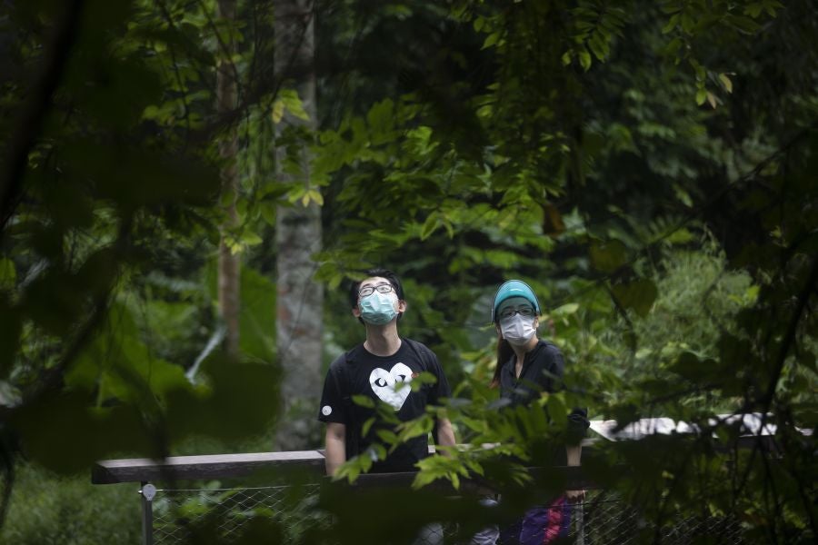 Singapur, la ciudad verde. 