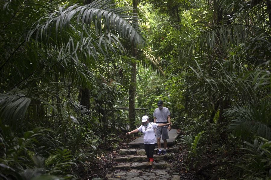 Singapur, la ciudad verde. 