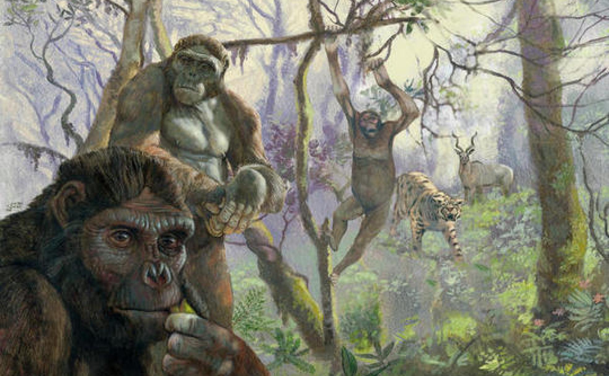 Ilustración de una familia de Australopithecus.