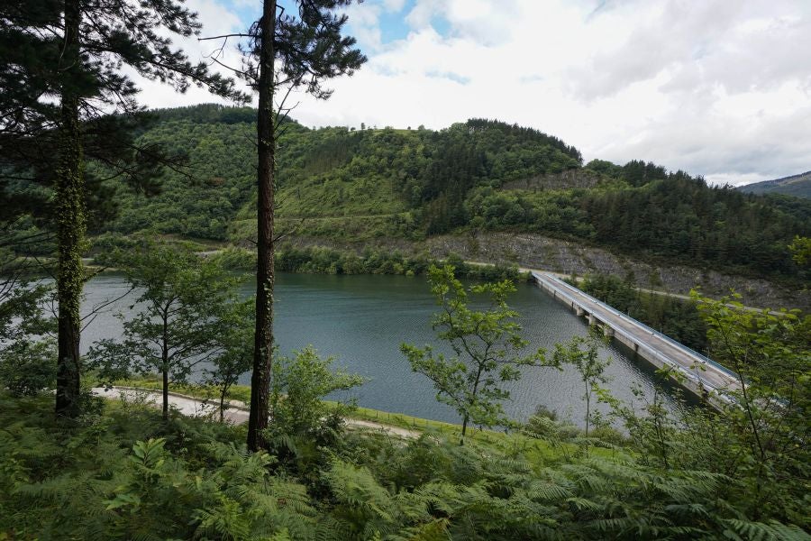 Orendain y Baliarrain, entre prados y bosques.