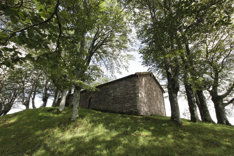 La hermosa localidad de Tolosaldea, sita junto al camino real de Navarra, albergó en sus enormes caserones a reyes y señores. Su valle rezuma belleza natural en cada rincón. 