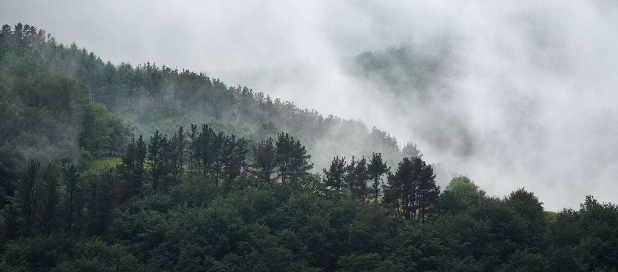 En el corazón del Urola Medio y de Gipuzkoa, rodeadas de espectaculares cimas, ambas localidades invitan a disfrutar de la naturaleza con calma.