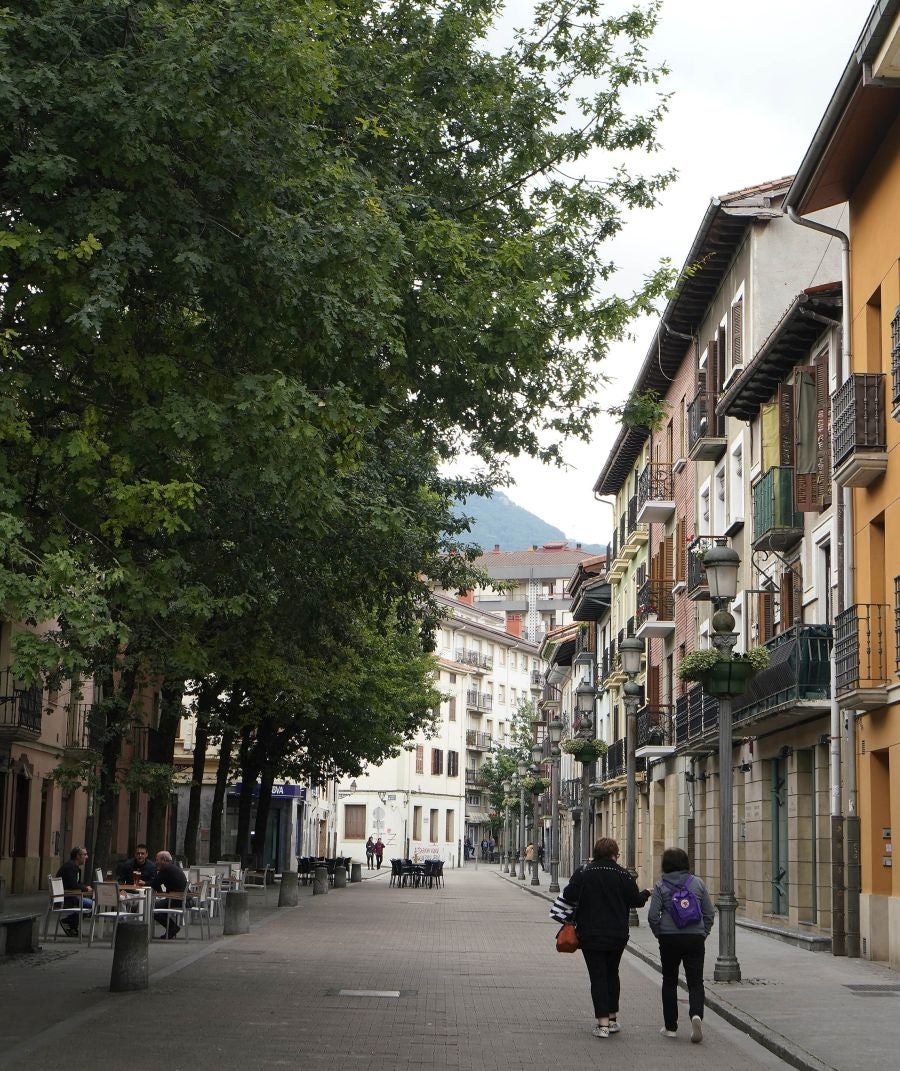 Situada en el valle de Léniz, entre parajes de gran belleza, atesora un rico patrimonio artístico con sus anteiglesias, palacios e imponentes casas torre