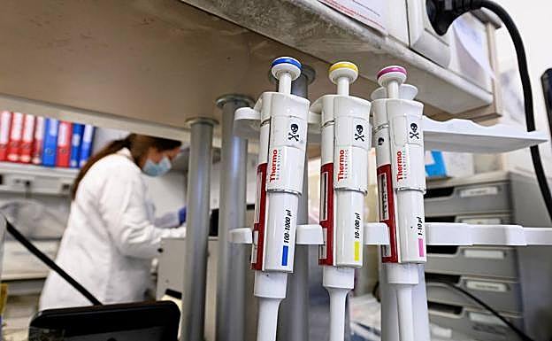 La inmunidad al virus podría ser el doble de la que indican los tests serológicos