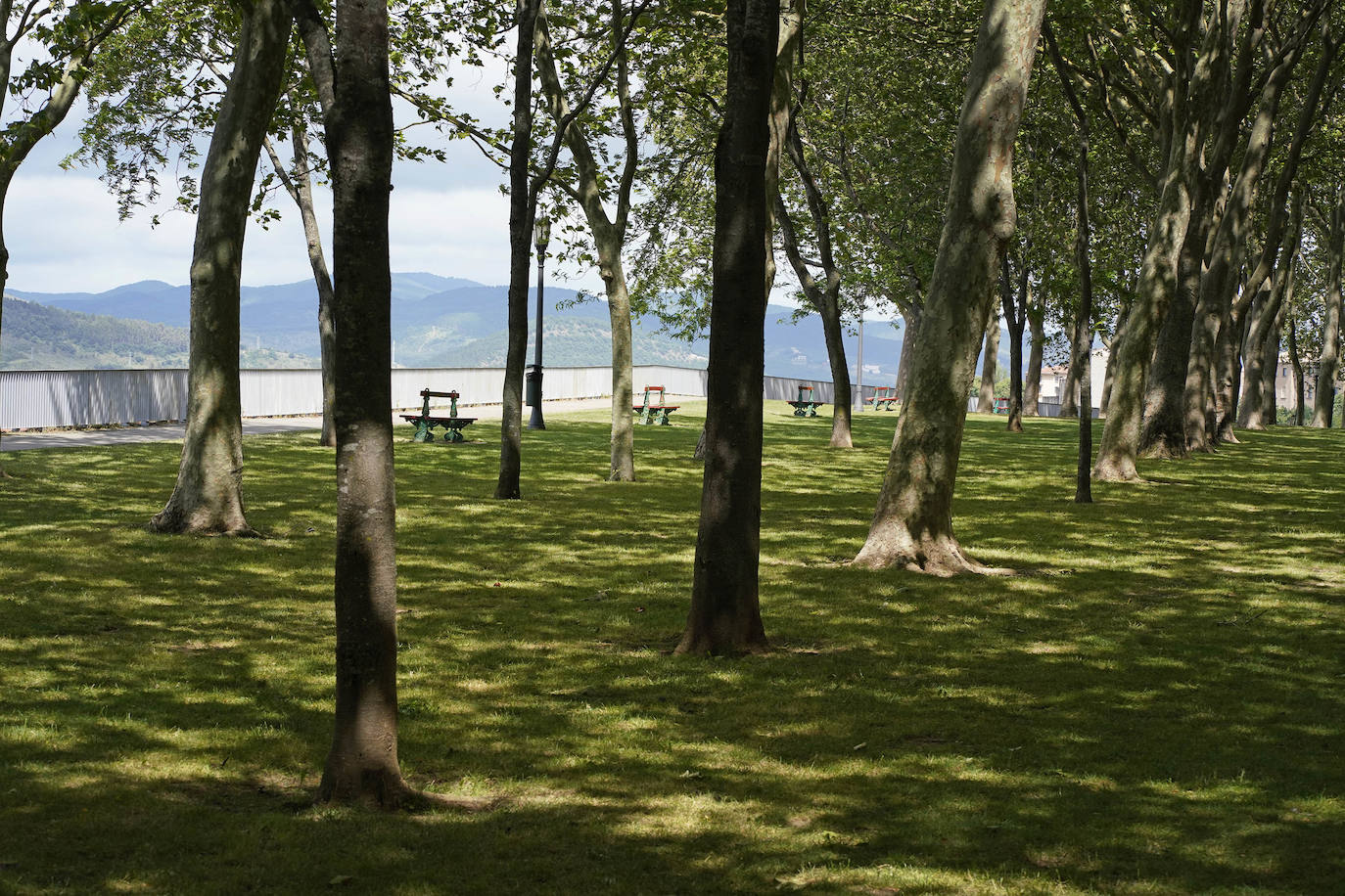 Sus tres patronos (que solo son dos) protegen a los amantes, los peregrinos y los visitantes de la ciudad del Arga. Entre plátanos, cerca del río, Gora San Fermín, Viva San Saturnino, Adelante San Cernín