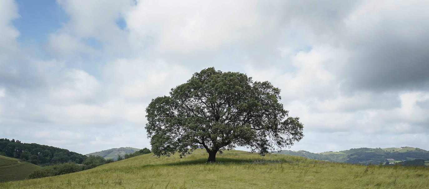 Aizarnazabal. Situado en un bello paraje de tonos verdes, en el valle del Urola, conserva su personalidad rural pese a haber desarrollado una importante industria