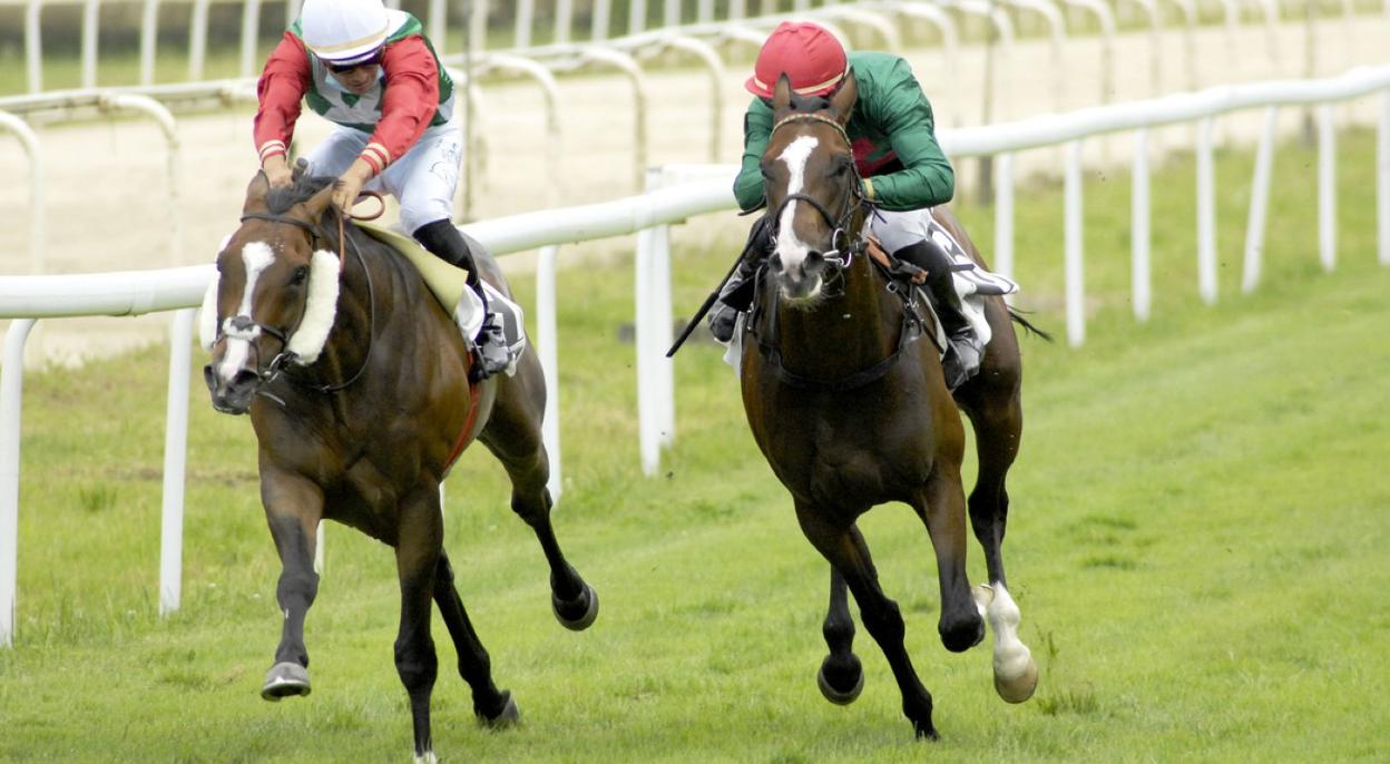 'Atty Persse' es batido por una cabeza por 'Cosmic Horizon' en un apretadísimo final. 