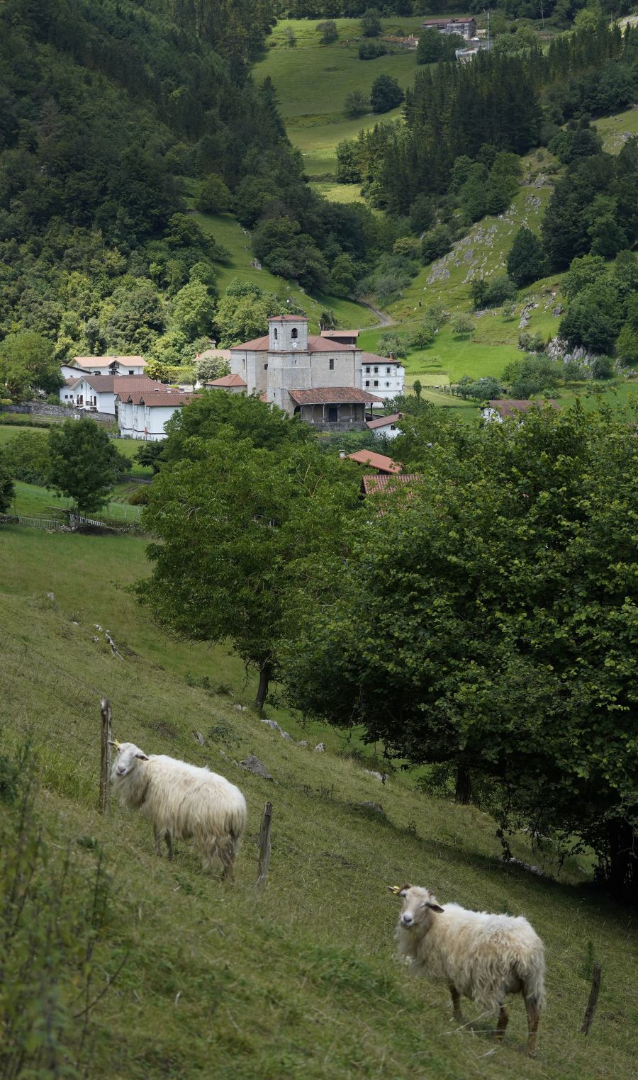 Situada en un precioso valle a los pies del macizo, cuentan que en sus huertas se cultivan las mejores alubias que luego los restauradores cocinan con mimo. 
