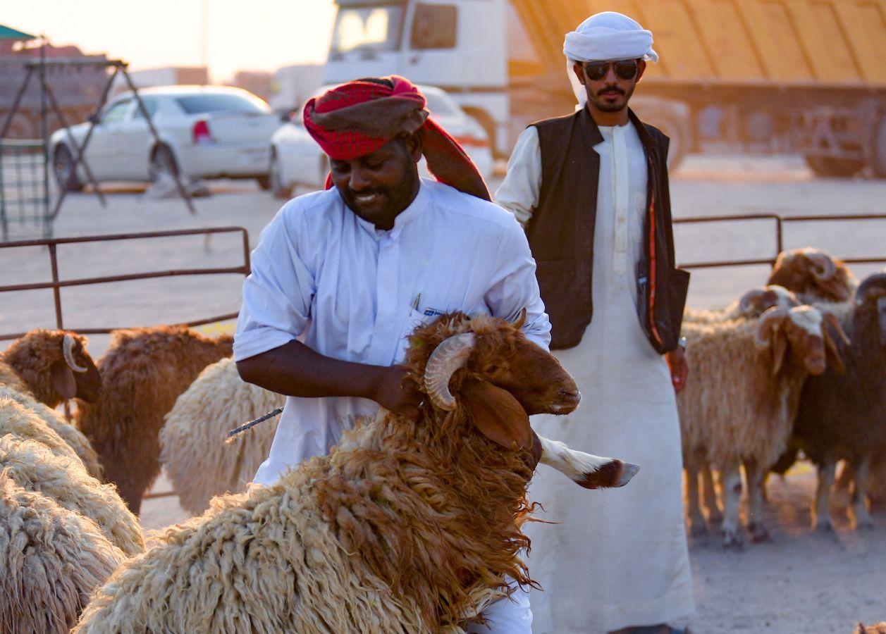 La festividad conocida como Eid al-Adha o Fiesta del Cordero es una de las celebraciones más importantes en el mundo musulmán. No hay una fecha exacta de celebración, pues su realización coincide con el fin del peregrinaje a La Meca (El Hajj). Es una tradición en la cual se aprovecha para orar junto con la familia y posteriormente se sacrifica un cordero. Esto por hacer una referencia a los hechos de las sagradas escrituras del Corán. En el cual se menciona que Dios, ordenó a Abraham a sacrificar a su primogénito como prueba de su fidelidad y, previo a esto, Dios le ofreció un cordero para sacrificarlo. Es una costumbre con bastante arraigo en el mundo árabe. Países como Afganistán, Siria, Kuwait, Líbano, Palestina o Nigeria lo celebran. 