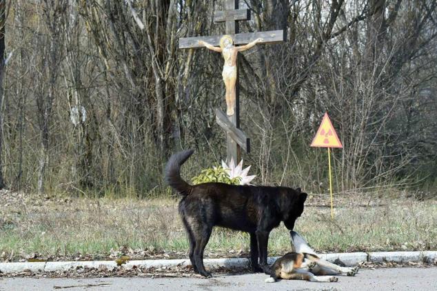Los lugares y objetos abandonados más insólitos del mundo