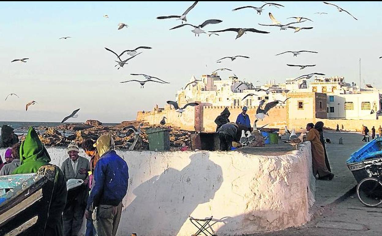 Vida apacible en el malecón que conduce a la ciudad amurallada de Essaouira.