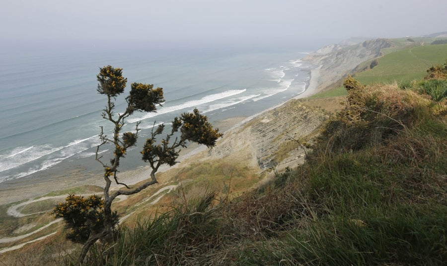 Enclavada en uno de los tramos más impresionantes de la costa, en una bellísima bahía, invita a perderse por las calles de su casco histórico y a disfrutar de sus hermosas playas. 