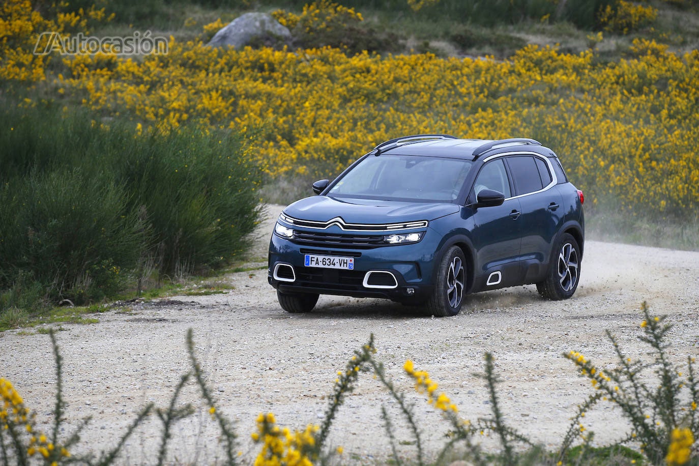 Fotos: Fotogalería: Citroën C5 Aircross BlueHDi 180