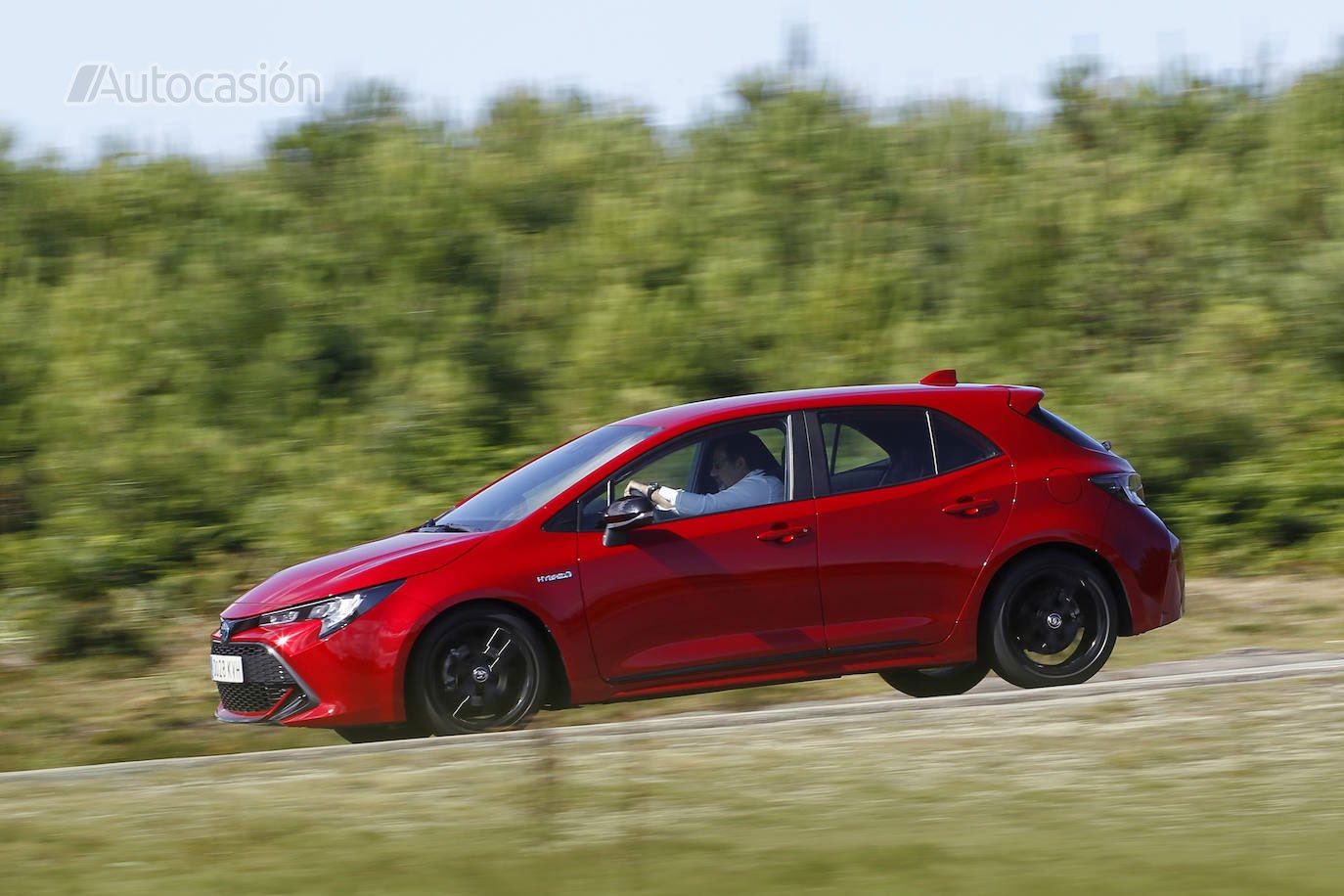 Fotos: Fotogalería: Toyota Corolla 1.8H