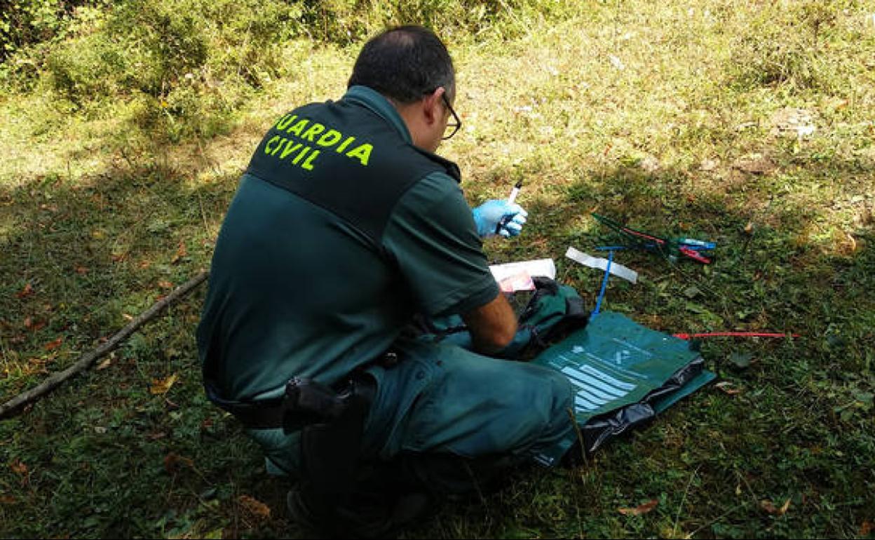 Un agente de la Guardia Civil analiza muestras en el paraje donde el dueño presuntamente sacrificó a los perros.