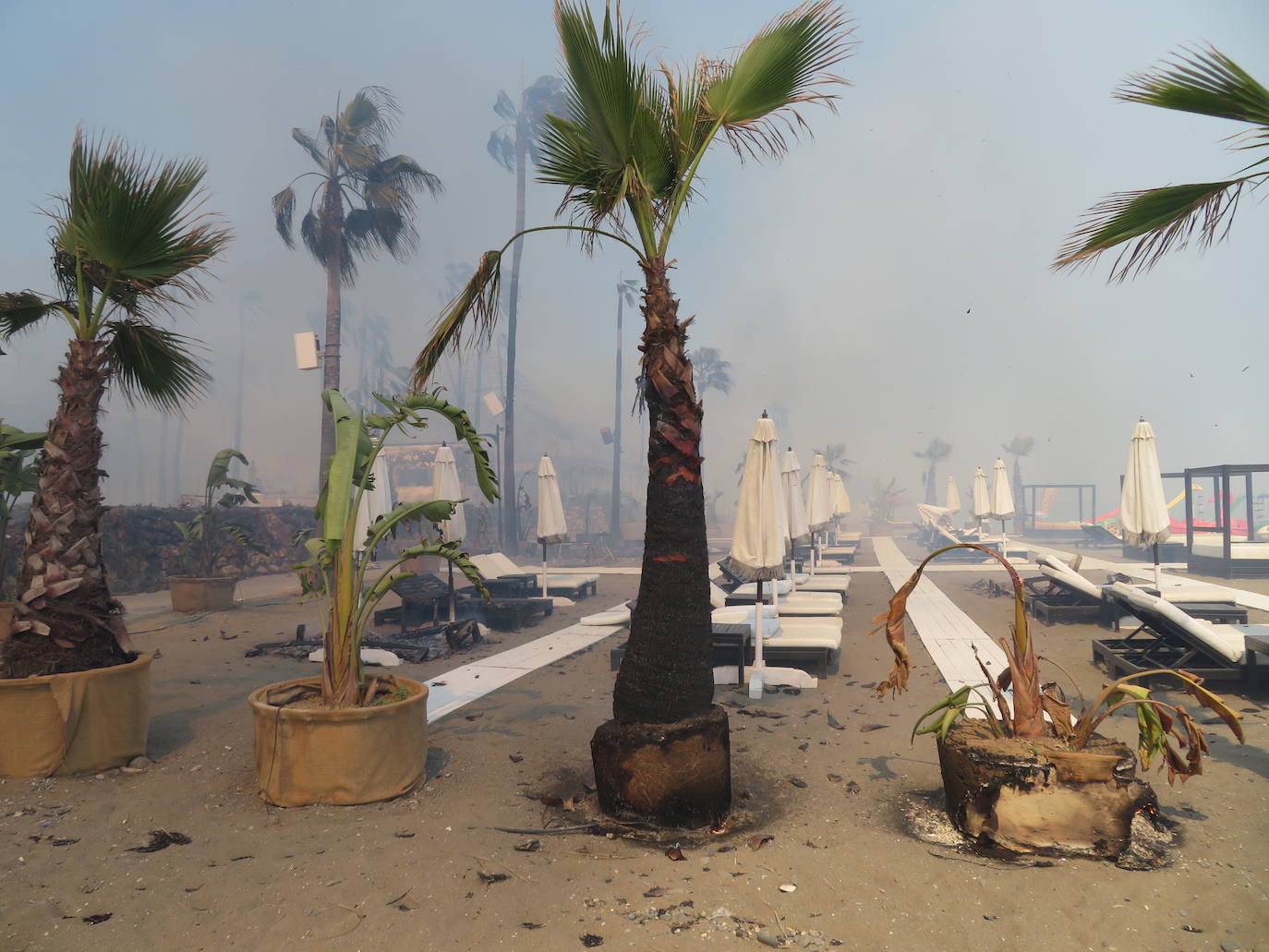 Efectivos del Plan Infoca y del Consorcio Provincial de Bomberos trabajan en la zona