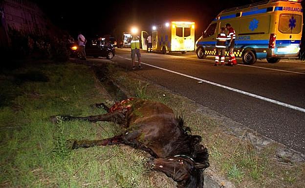 Imagen principal - Más de veinte heridos en Pontevedra al volcar un autobús tras atropellar a un caballo