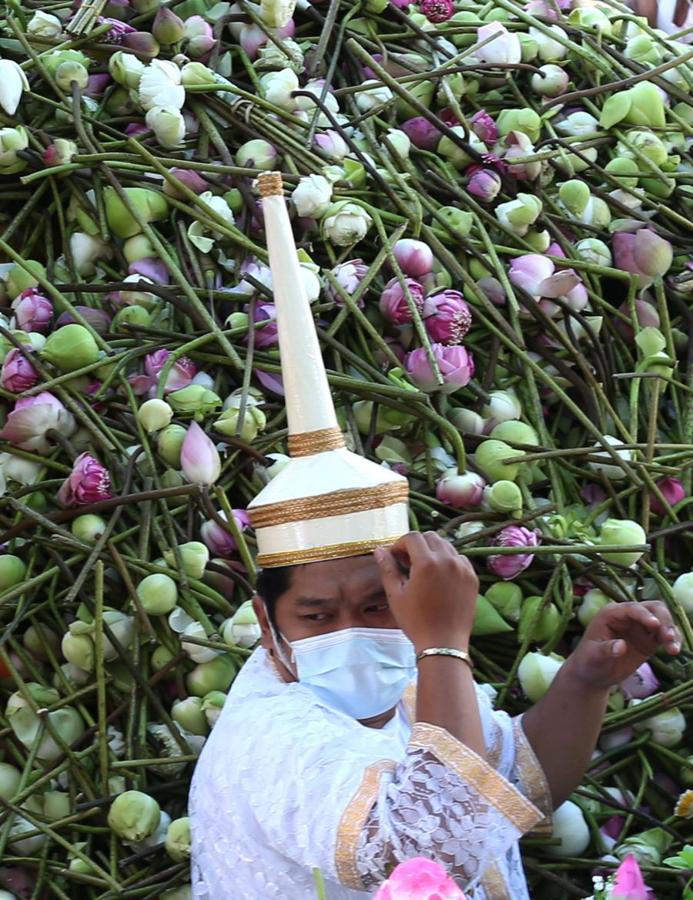 Festival de flores de loto en Tailandia 
