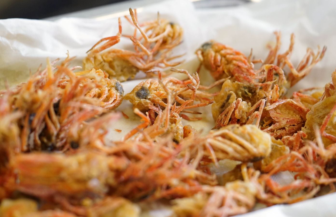 Belén Abad y Lourdes Villalobos del restaurante Chinchín Puerto de Caleta de Vélez, en Málaga, ganan el certamen organizado por San Sebastian Gastronomika