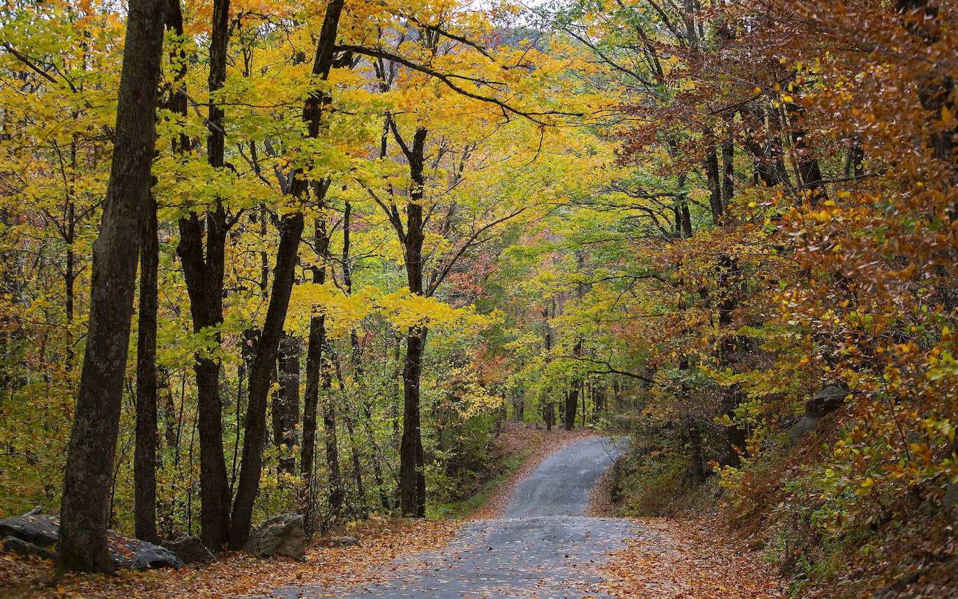 En White Mountains, de New Hampshire, los picos más altos ya registran colores otoñales que atraen a millones de visitantes de todo el mundo. Otras visitas obligadas son Peterborough, Jaffrey y Stowe, en Vermont. 