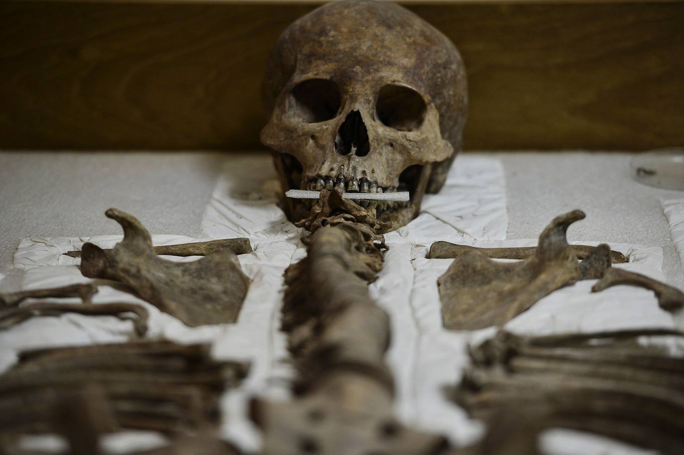 La escalinata de los jeroglíficos es la estrella del Parque Arqueológico de Copán, un patrimonio mundial legado por los mayas en el oeste de Honduras que sobrevive a los desafíos por la degradación de las estructuras antiguas. Con 63 escalones y una altura de 12 metros, la mole de 1.100 bloques monolíticos se levanta en este parque incrustado en un bosque localizado a unos 300 km al noroeste de Tegucigalpa. El valor universal de la escalinata, que llevó a la UNESCO a declararla Patrimonio Mundial en septiembre de 1980, «es la combinación excepcional de arquitectura, escultura y escritura», resalta el arqueólogo francés, René Viel. En Copán hay otros monumentos: el campo de pelota, en los túneles están las tumbas reales y el templo de Rosalila, pero la escalinata jeroglífica es el monumento más emblemático.