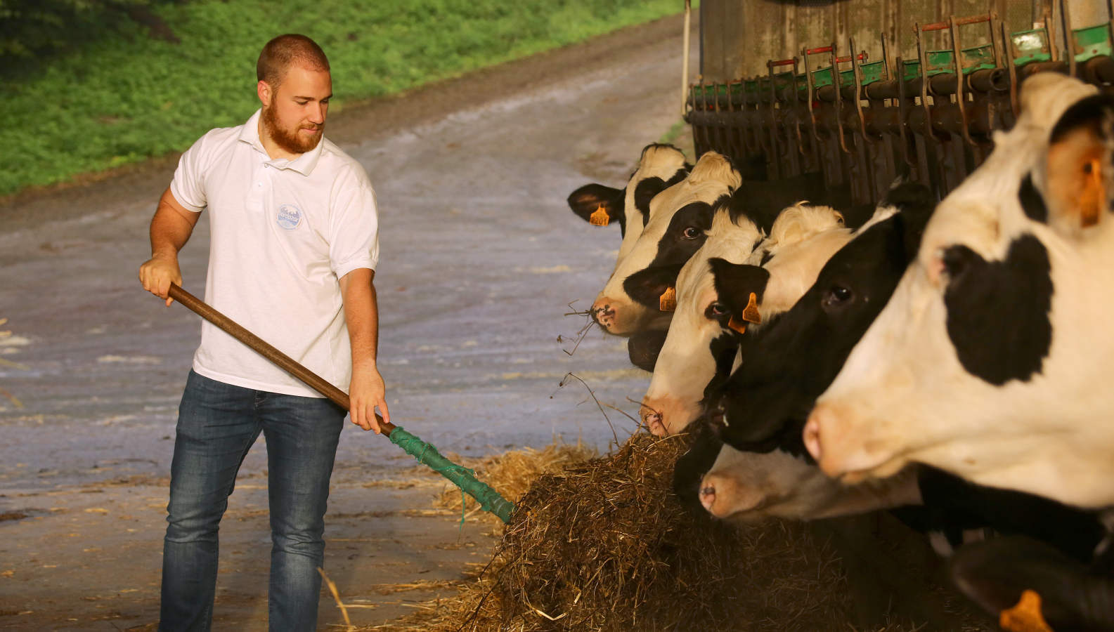 El ganadero Aitor Zapirain y el agricultor Julen Zulaika son dos de los jóvenes baserritarras que han recibido la ayuda económica de la Diputación 