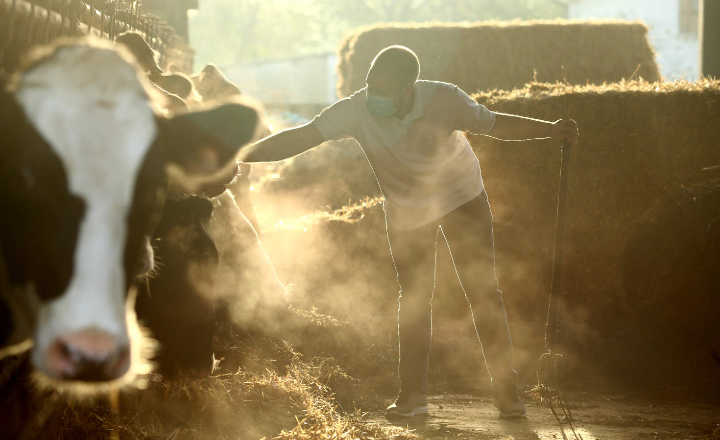 El ganadero Aitor Zapirain y el agricultor Julen Zulaika son dos de los jóvenes baserritarras que han recibido la ayuda económica de la Diputación 