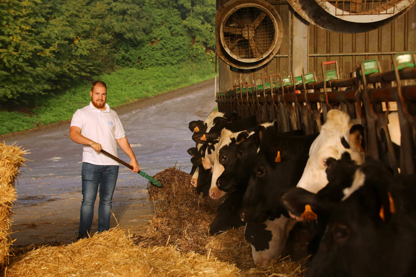 El ganadero Aitor Zapirain y el agricultor Julen Zulaika son dos de los jóvenes baserritarras que han recibido la ayuda económica de la Diputación 