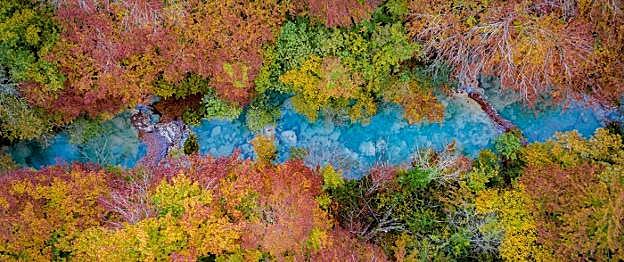 Las hayas y los robles lucen susmantos dorados y rojizosdestacando aún más el color turquesa del río. 