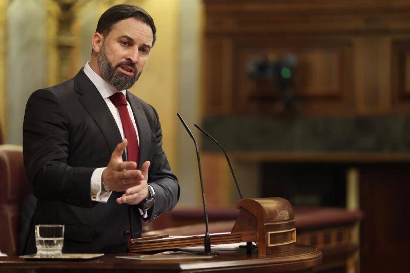 Santiago Abascal, durante su intervención. 