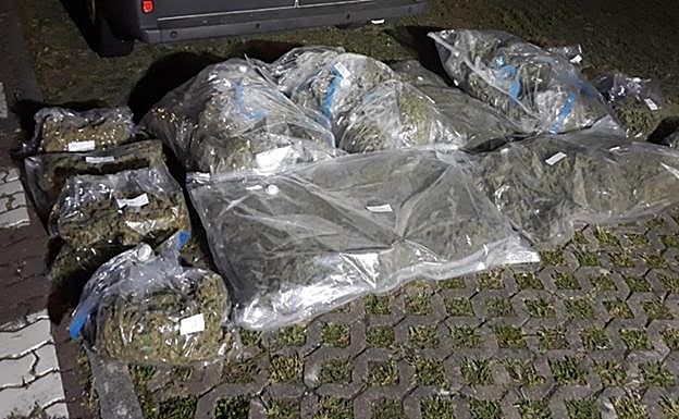 La marihuana incautada en Andalucía.