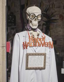 Imagen secundaria 2 - Escaparates de varios comercios de Donostia con temática en torno a la fiesta de Halloween.