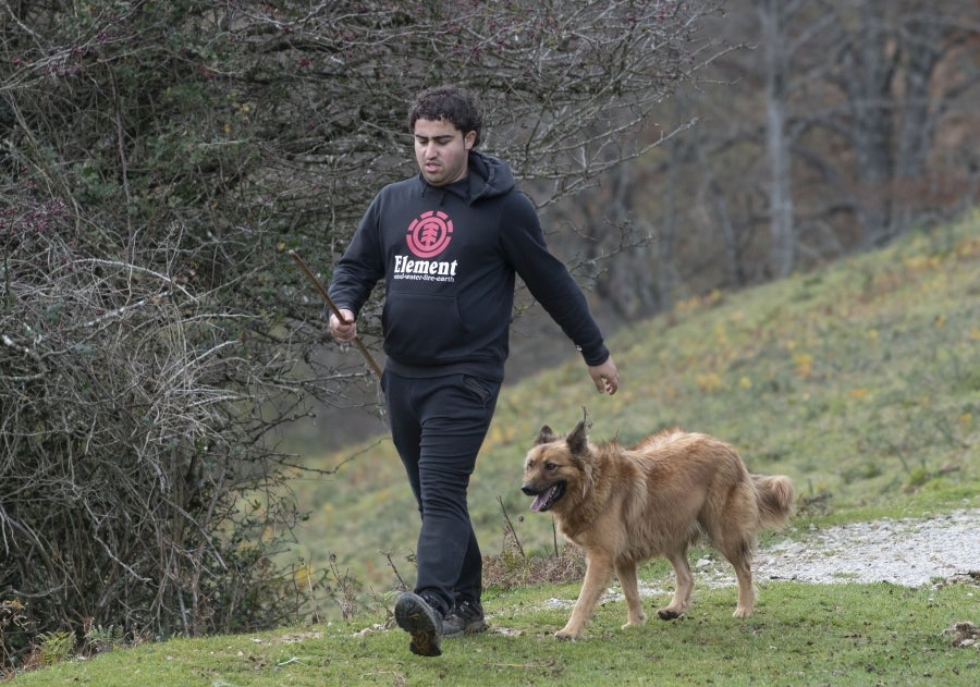 Asier Ruiz de Azua y Julen Mintegi conducen el rebaño de Etxezarreta por un hayedo. 