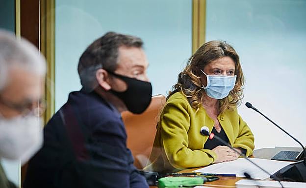 La consejera de Salud en el Parlamento Vasco.