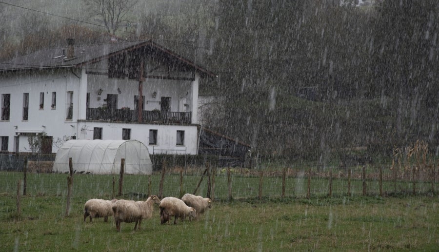 La nieve caída en las últimas horas obliga a los conductores a circular en sus vehículos con cadenas por cuatro puertos de la red secundaria viaria vasca, los alaveses de Herrera, Kurtzeta, Opakoa y Orduña. 