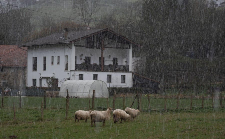 La nieve caída en las últimas horas obliga a los conductores a circular en sus vehículos con cadenas por cuatro puertos de la red secundaria viaria vasca, los alaveses de Herrera, Kurtzeta, Opakoa y Orduña. 