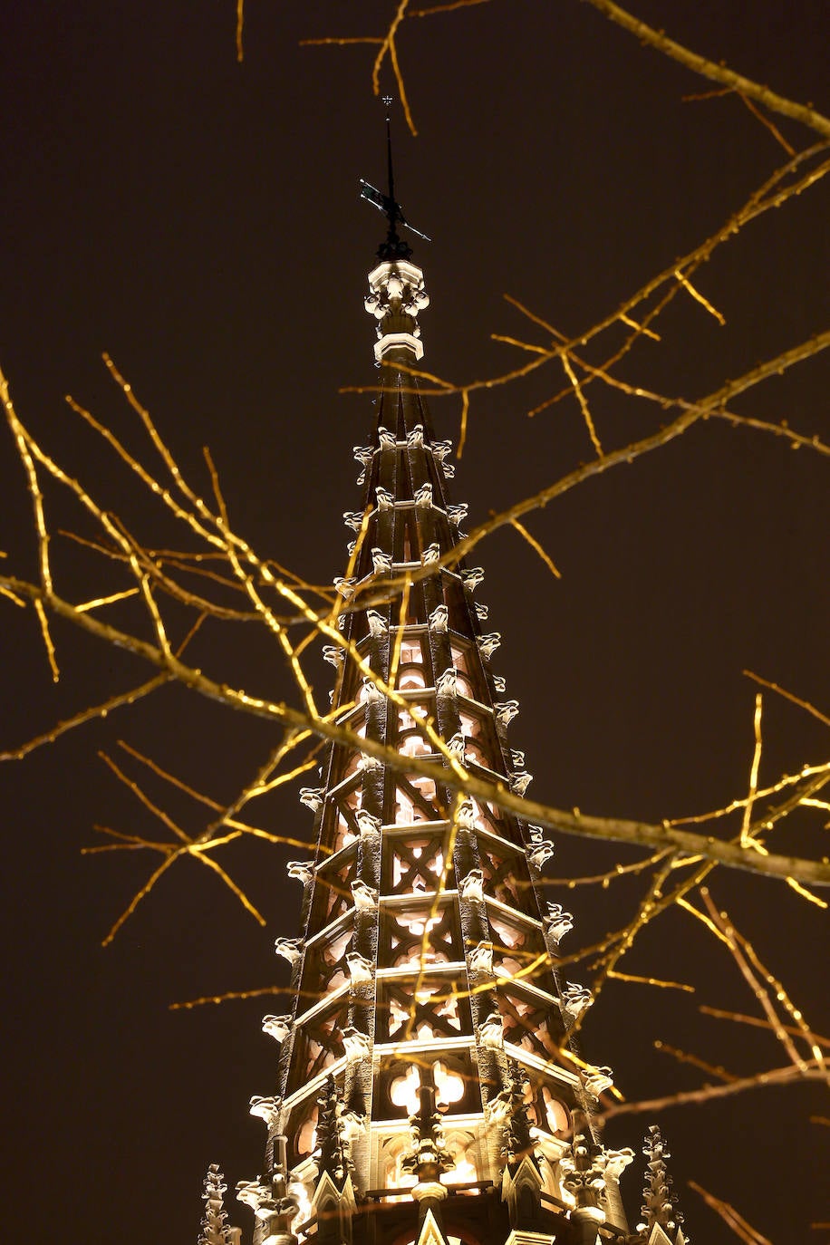 Desde este pasado lunes, al caer la noche, la torre del Buen Pastor se viste con un nuevo traje de luces que realza su figura y ensalza su arquitectura neogótica. 223 focos de tecnología led sutituyen al antiguo sistema de iluminación que instaló el Ayuntamiento allá por los años 90. Todos ellos colocados con mimo para respetar la estructura de 75 metros de altura levantada en 1899, que ha sufrido un intenso proceso de restauración de casi año y medio, y para mostrarse al público con todo su esplendor. 