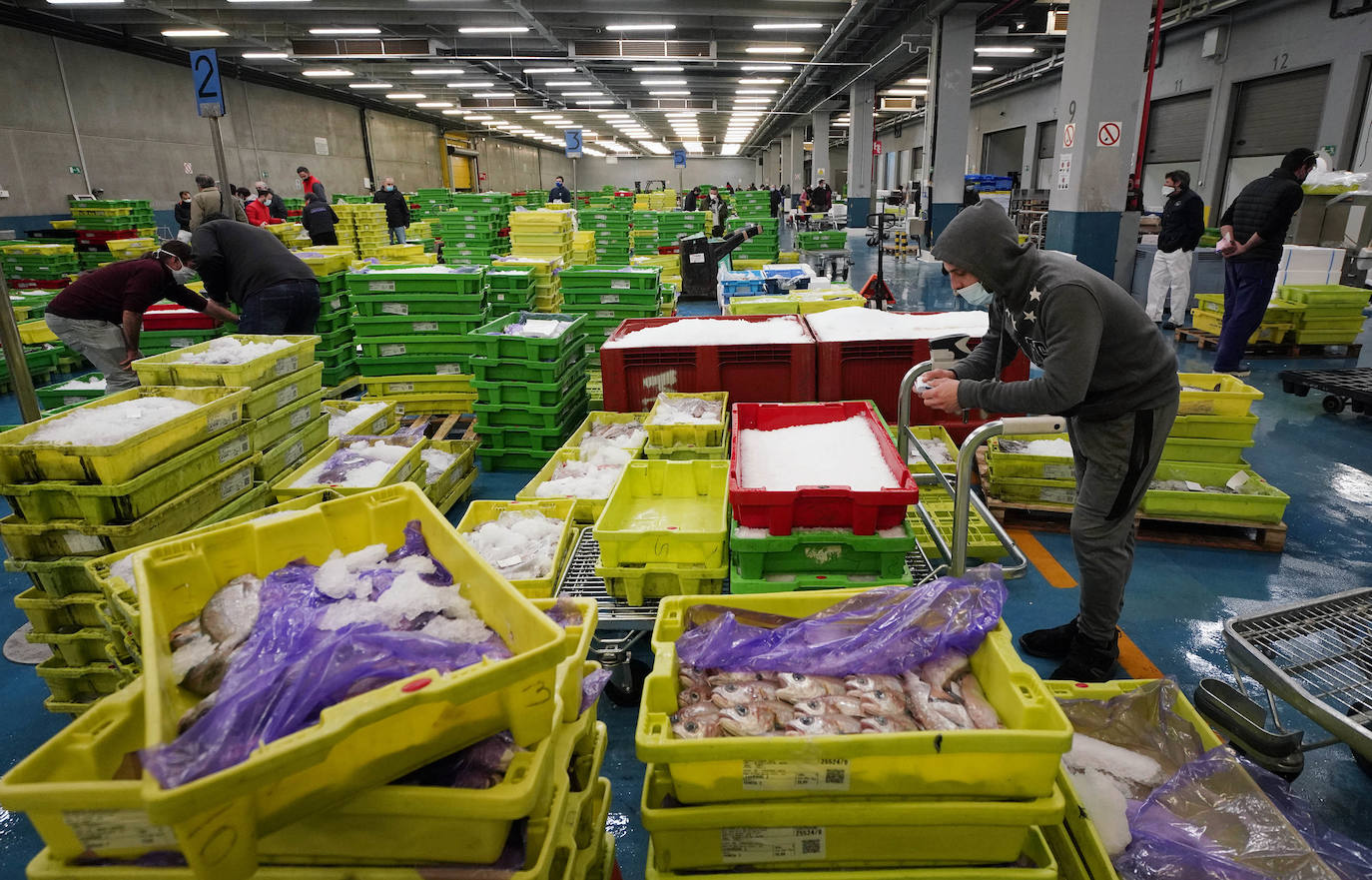 La lonja de Pasaia confirma que la Navidad será distinta, al detectarse en los encargos que las celebraciones van a ser de menos personas. Armadores, vendedores, mayoristas y minoristas trabajan estos días sin descanso para que ninguna familia o establecimiento hostelero se quede estas Navidades sin pescado fresco.