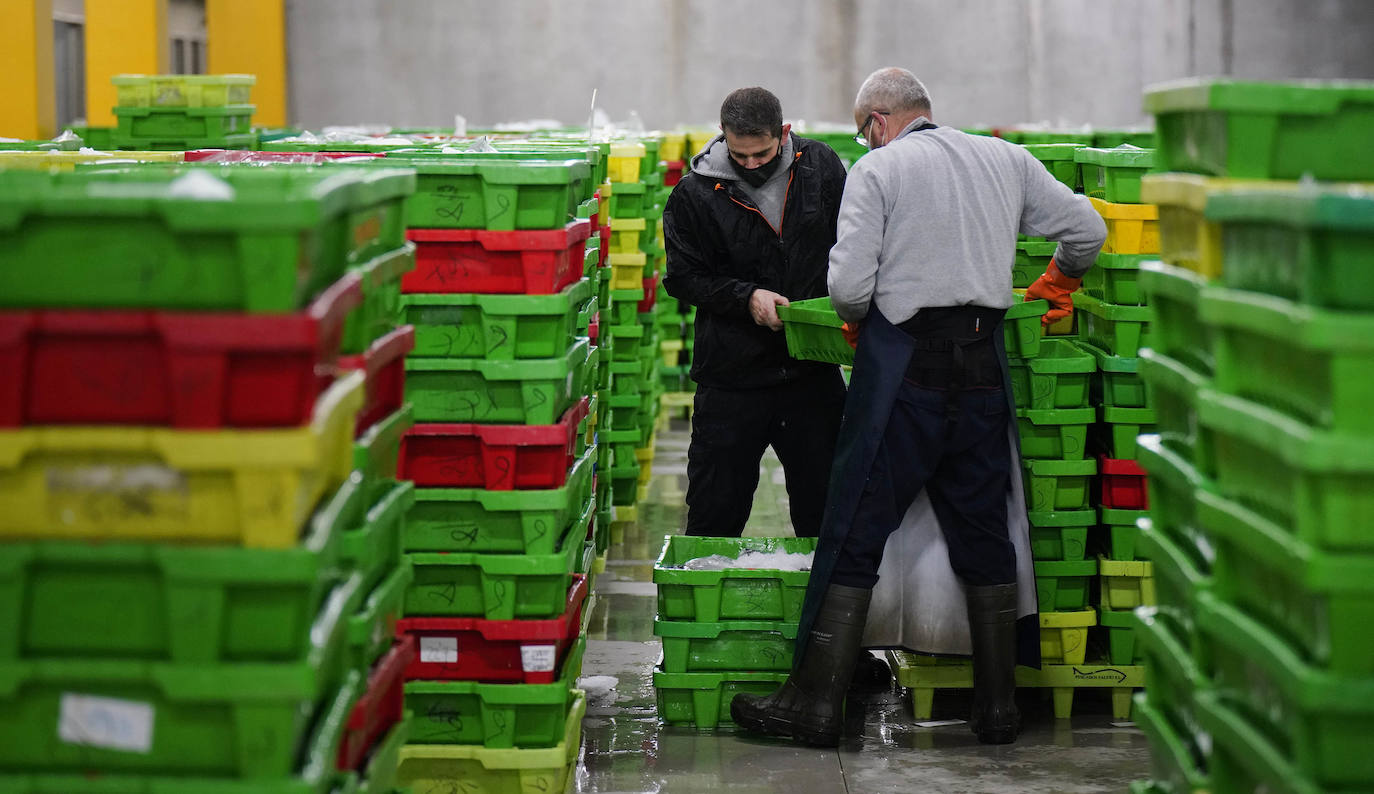 La lonja de Pasaia confirma que la Navidad será distinta, al detectarse en los encargos que las celebraciones van a ser de menos personas. Armadores, vendedores, mayoristas y minoristas trabajan estos días sin descanso para que ninguna familia o establecimiento hostelero se quede estas Navidades sin pescado fresco.