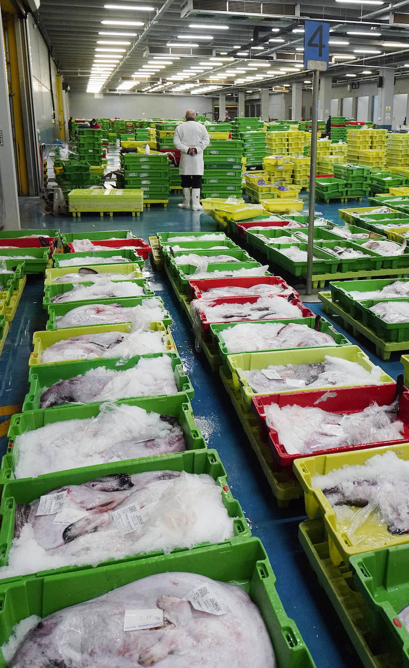 La lonja de Pasaia confirma que la Navidad será distinta, al detectarse en los encargos que las celebraciones van a ser de menos personas. Armadores, vendedores, mayoristas y minoristas trabajan estos días sin descanso para que ninguna familia o establecimiento hostelero se quede estas Navidades sin pescado fresco.